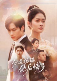分道扬镳，他后悔了 第41集