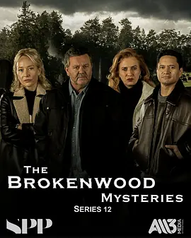 断林镇谜案第十二季