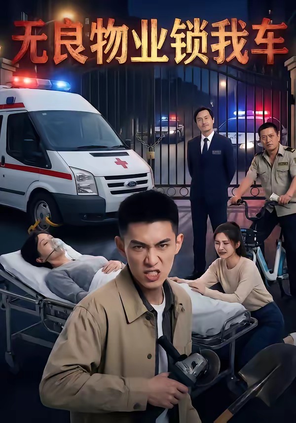 无良物业锁我车