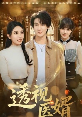 透视医婿(全集)